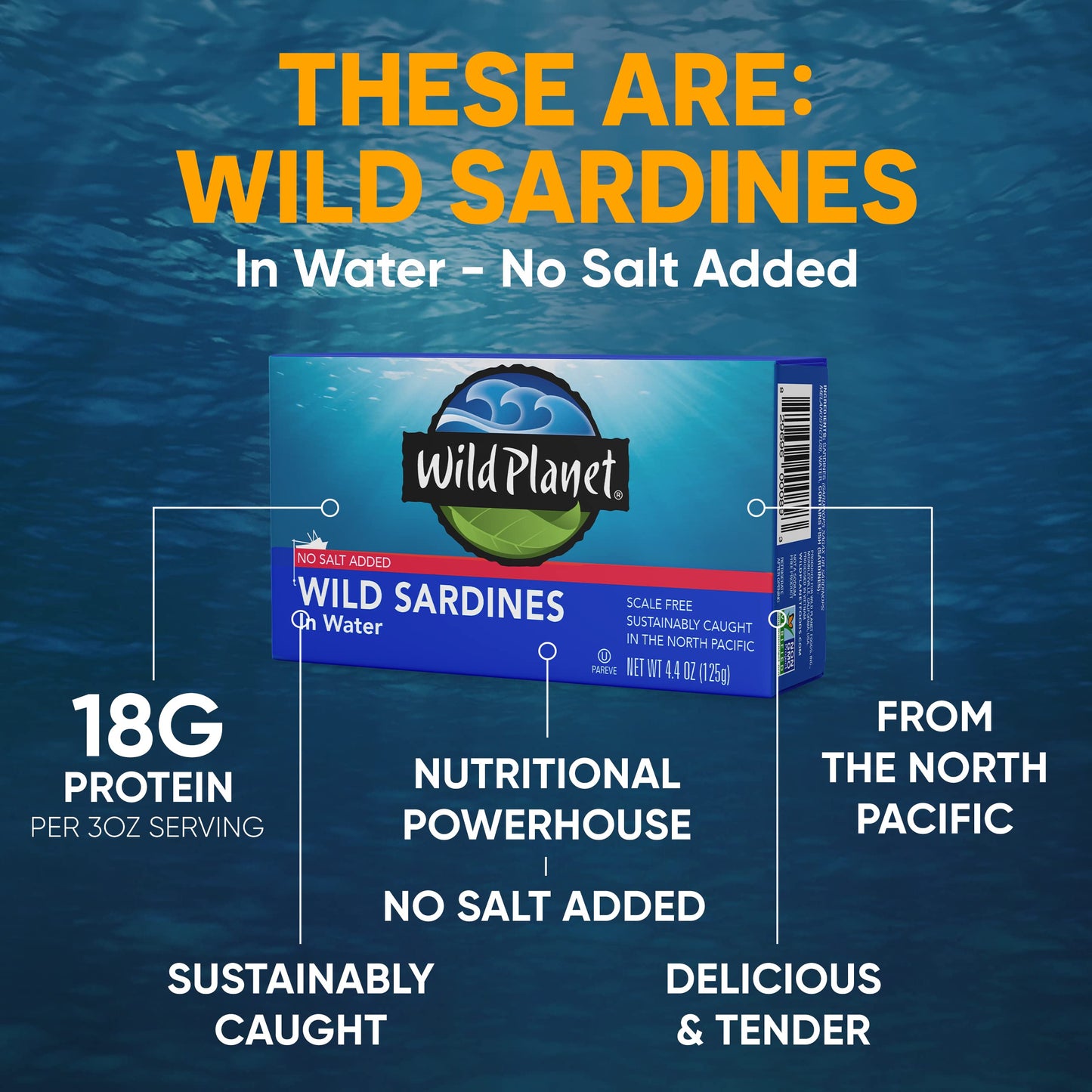 Wild Planet Wild Sardines in Extra Virgin Olive Oil, Lightly Smoked, Tinned Fish, Sustainably Wild-Caught, Non-GMO, Kosher, Gluten Free, 4.4. Ounce (Pack of 12)