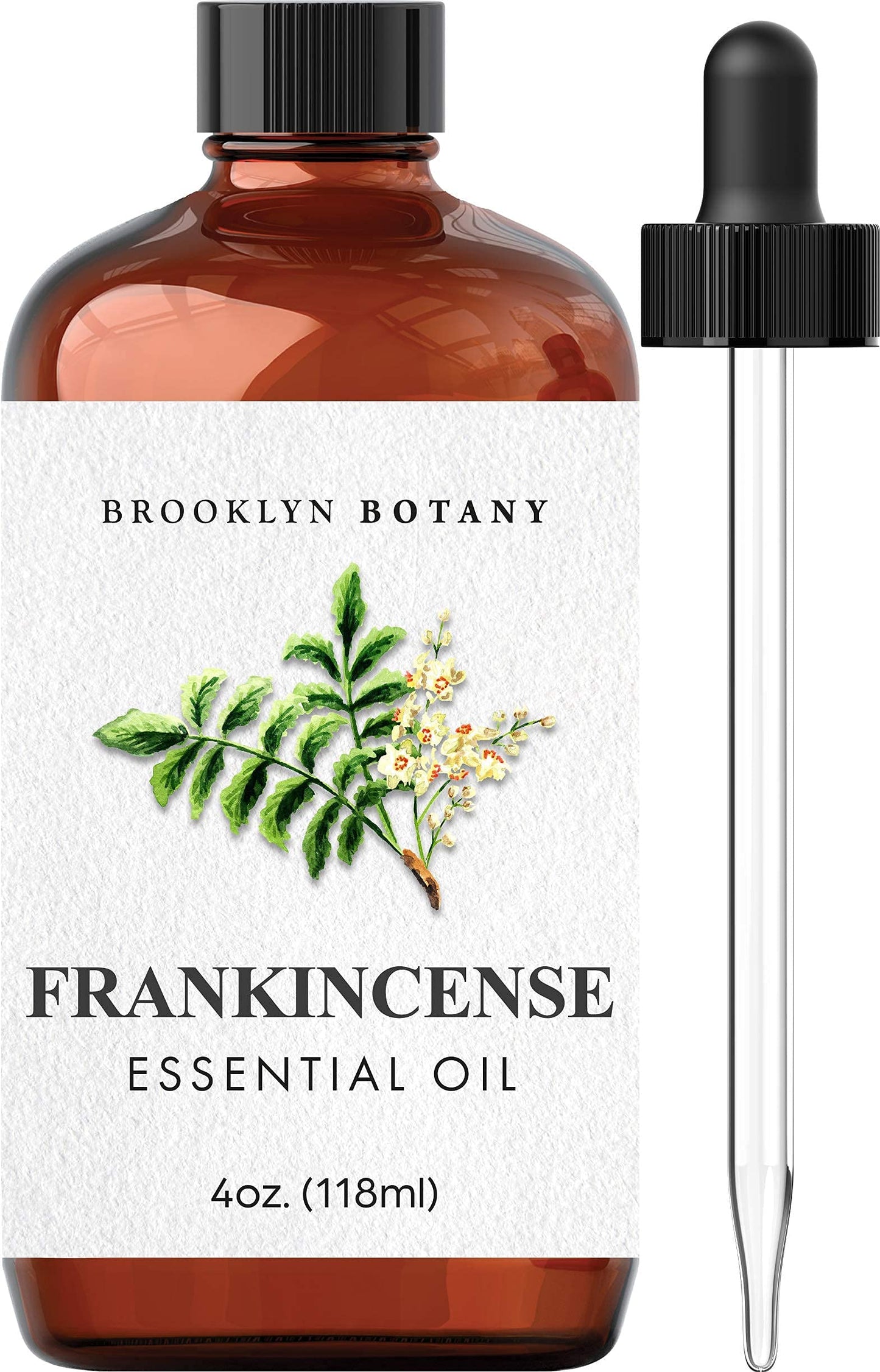 Brooklyn Botany Basil Essential Oil - 100% Pure and Natural - Premium Grade Essential Oil - for Aromatherapy and Diffuser - 0.33 Fl Oz