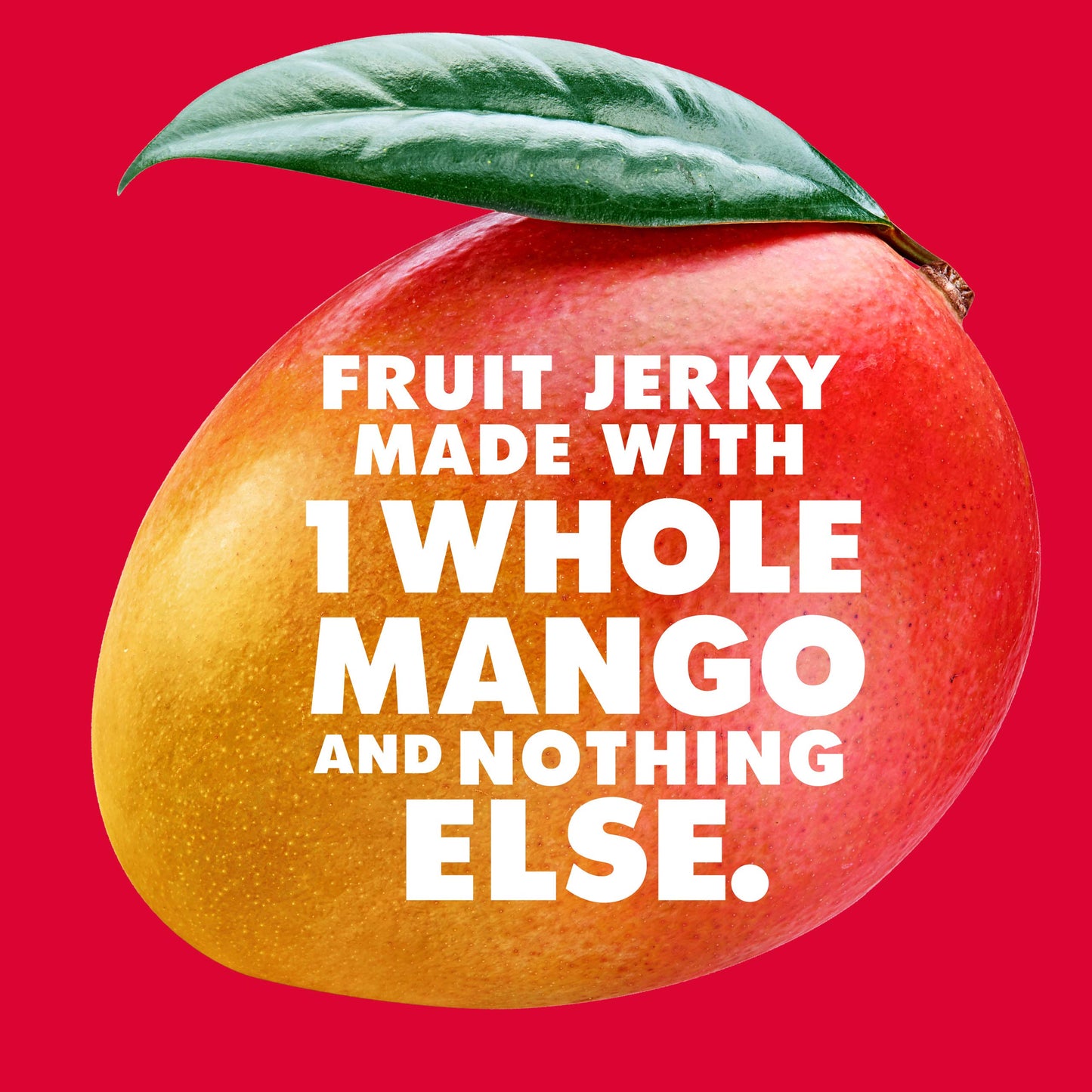 Solely - Organic Mango Fruit Jerky - 12 Individually Wrapped Fruit Strips - Fruit Leather Made from Dried Fruit - Healthy Snacks, Vegan - 0.8oz (23g)