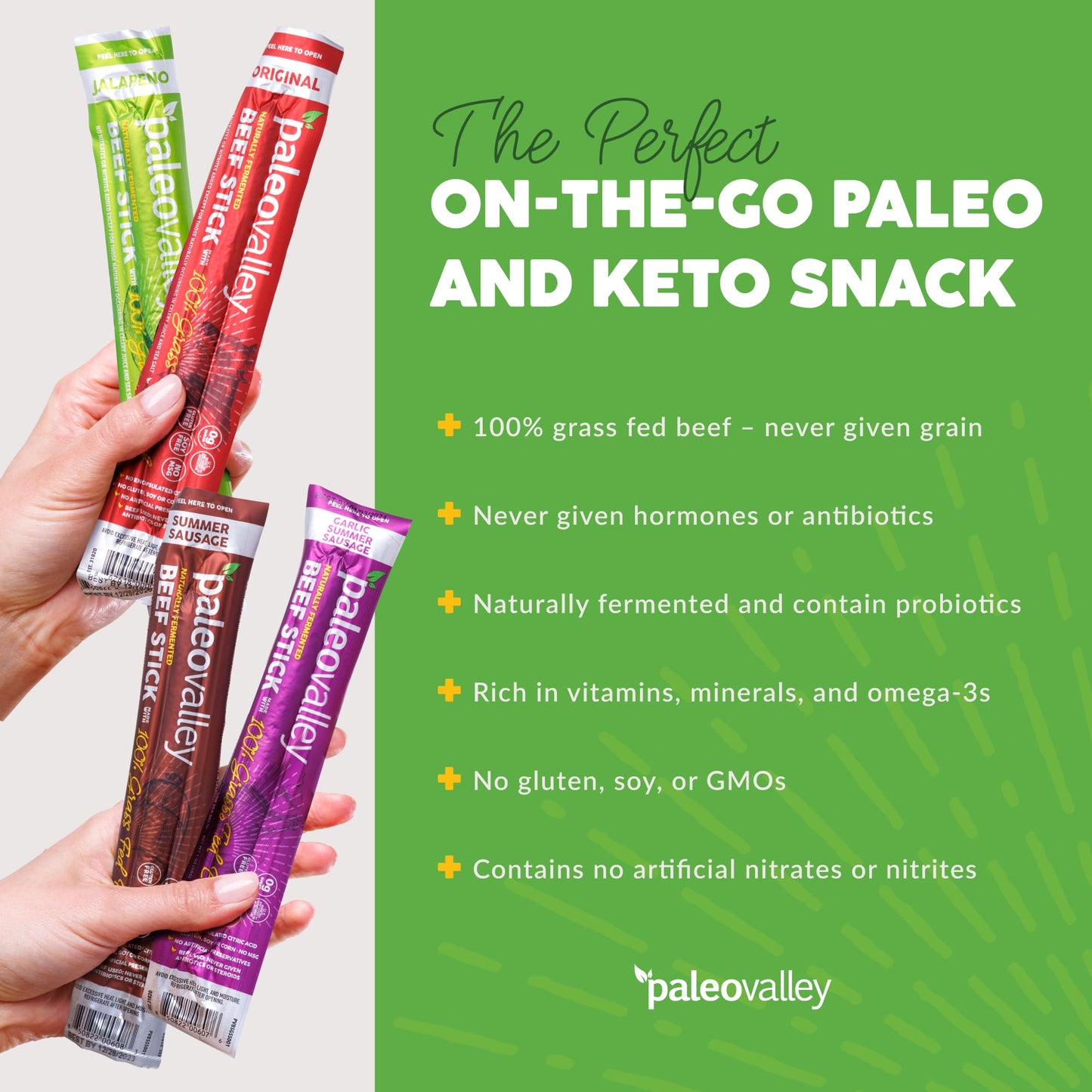 Paleovalley 100% Grass Fed Original Beef Sticks - Delicious Gluten Free Beef Snack - High Protein Keto Friendly