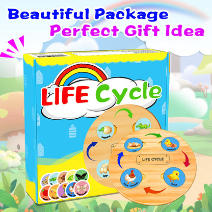 Life Cycle Toys for Kids, Learning & Educational Toys, Montessori Toys for Toddler Preschool Science Learning Activities Toys for Age 3 4 5 6 7 8+