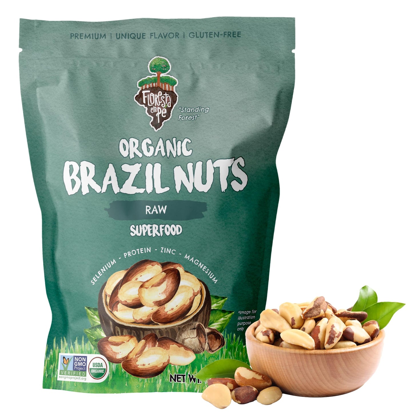 Floresta em Pé The True Organic Premium Brazil Nuts (15oz) Raw & Unsalted | Kosher | Non-Gmo | Certified Organic | Fresh | Vegan | Gluten Free | Keto & Paleo Friendly | Sustainably Harvested