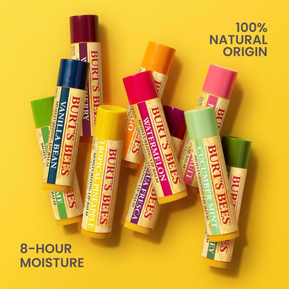 Burt's Bees Lip Balm - Vanilla Bean, Lip Moisturizer With Responsibly Sourced Beeswax, Tint-Free, Natural Origin Conditioning Lip Treatment, 2 Tubes, 0.15 oz.