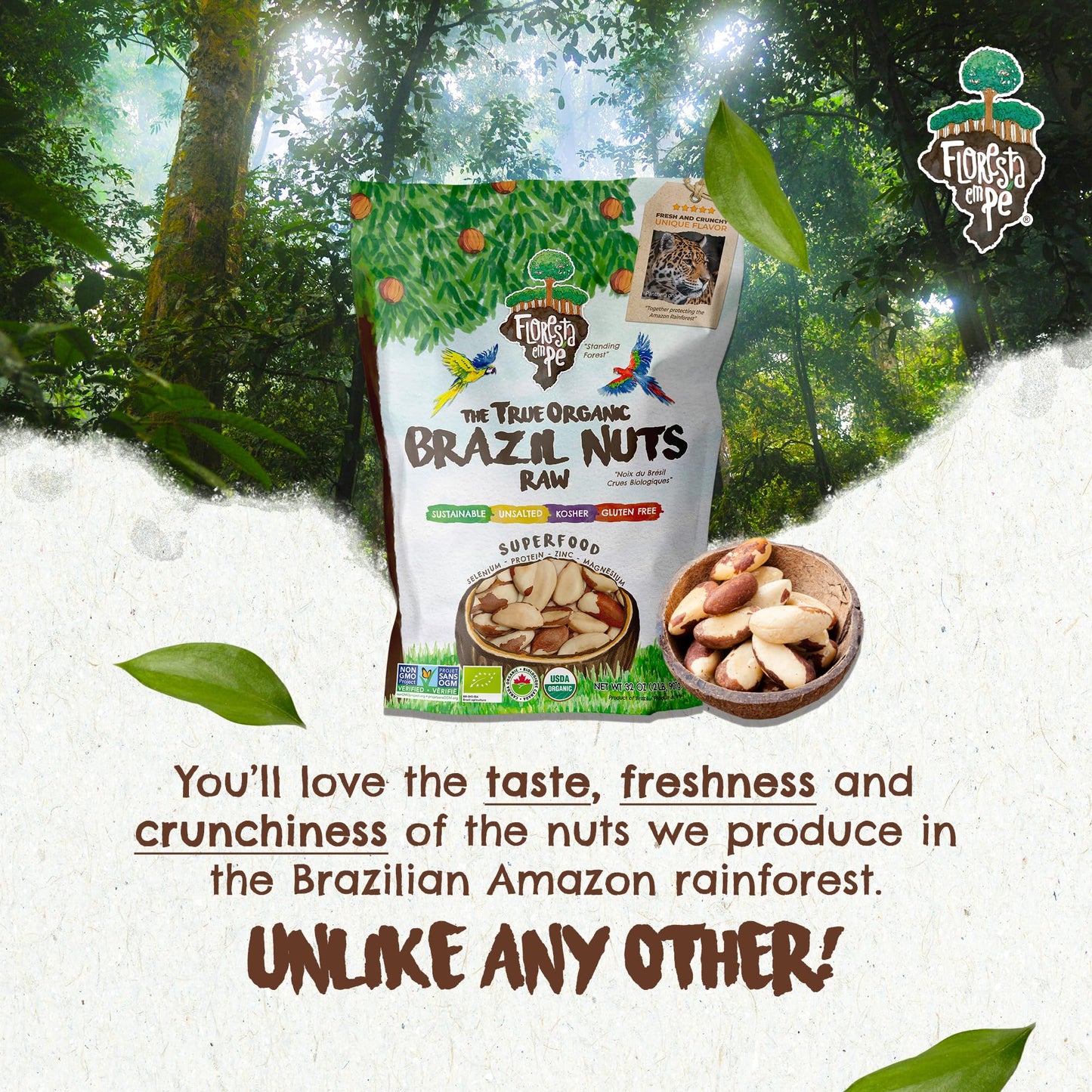 Floresta em Pé The True Organic Premium Brazil Nuts (15oz) Raw & Unsalted | Kosher | Non-Gmo | Certified Organic | Fresh | Vegan | Gluten Free | Keto & Paleo Friendly | Sustainably Harvested