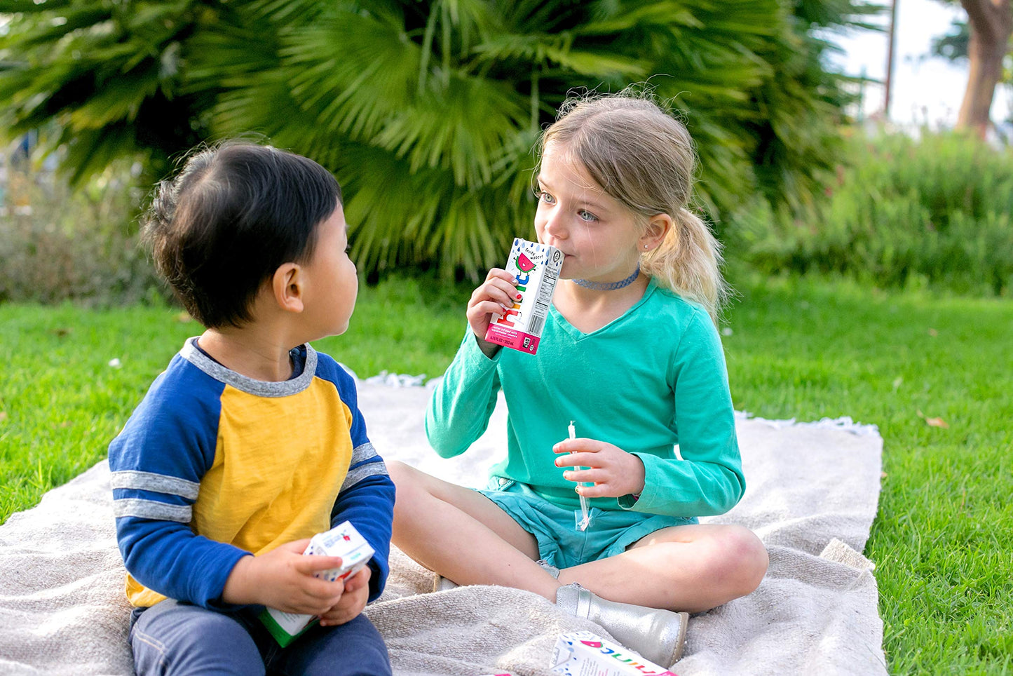 Hint Kids Water Variety, 8 Boxes, Each of: Cherry, Watermelon, Apple, & Blackberry, Zero Sugar, Zero Sweeteners, Zero Preservatives, Zero Artificial Flavors, 6.75 Fl Oz (Pack of 32)