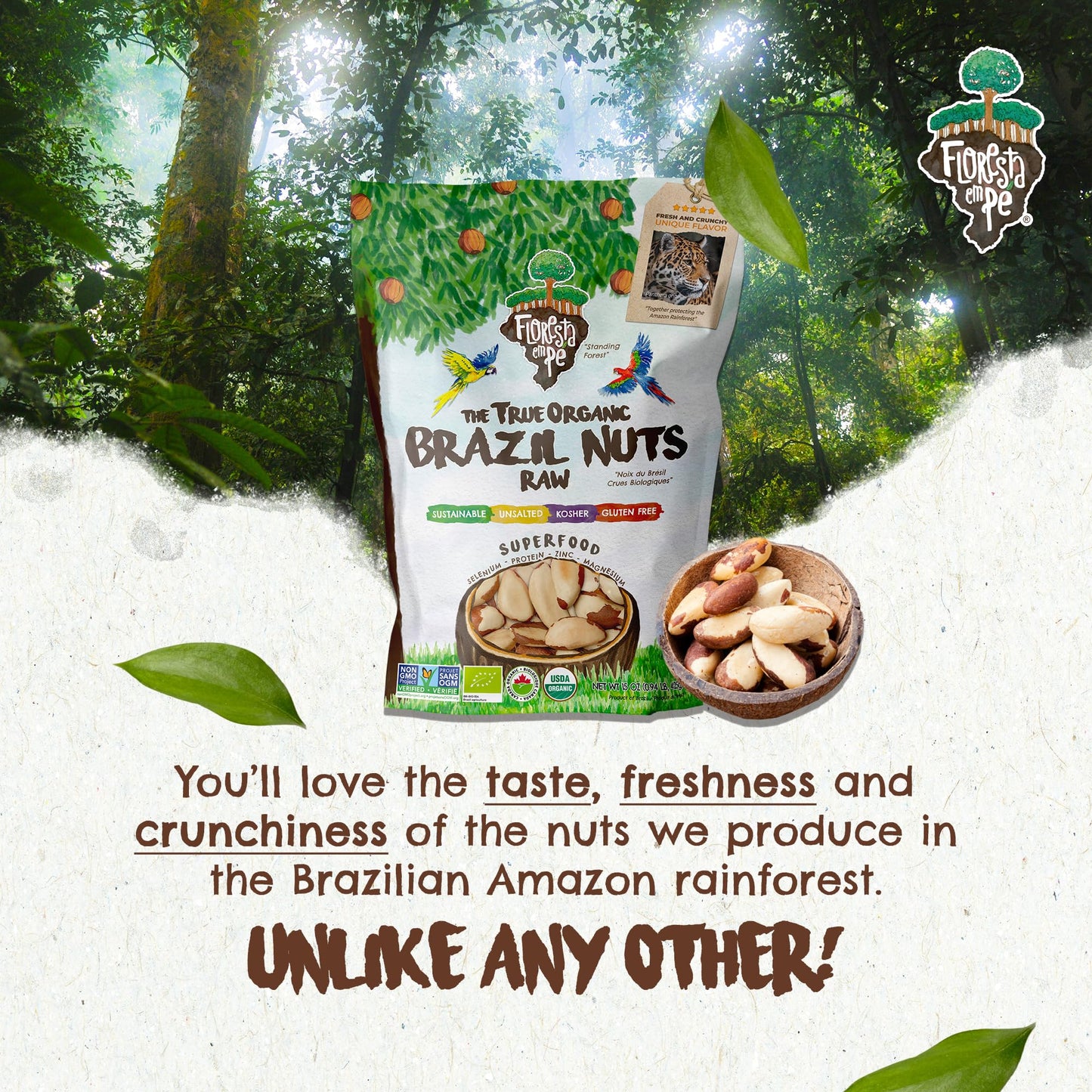 Floresta em Pé The True Organic Premium Brazil Nuts (15oz) Raw & Unsalted | Kosher | Non-Gmo | Certified Organic | Fresh | Vegan | Gluten Free | Keto & Paleo Friendly | Sustainably Harvested