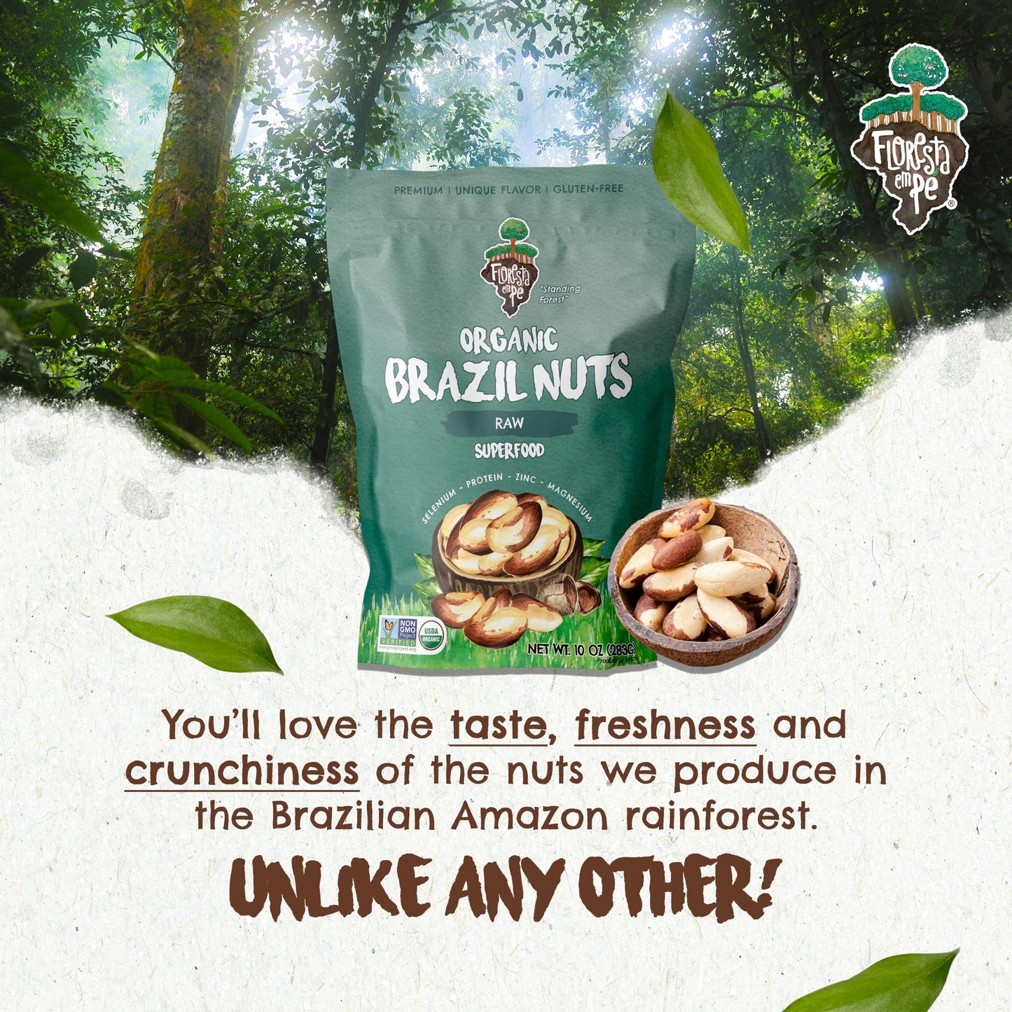 Floresta em Pé The True Organic Premium Brazil Nuts (15oz) Raw & Unsalted | Kosher | Non-Gmo | Certified Organic | Fresh | Vegan | Gluten Free | Keto & Paleo Friendly | Sustainably Harvested