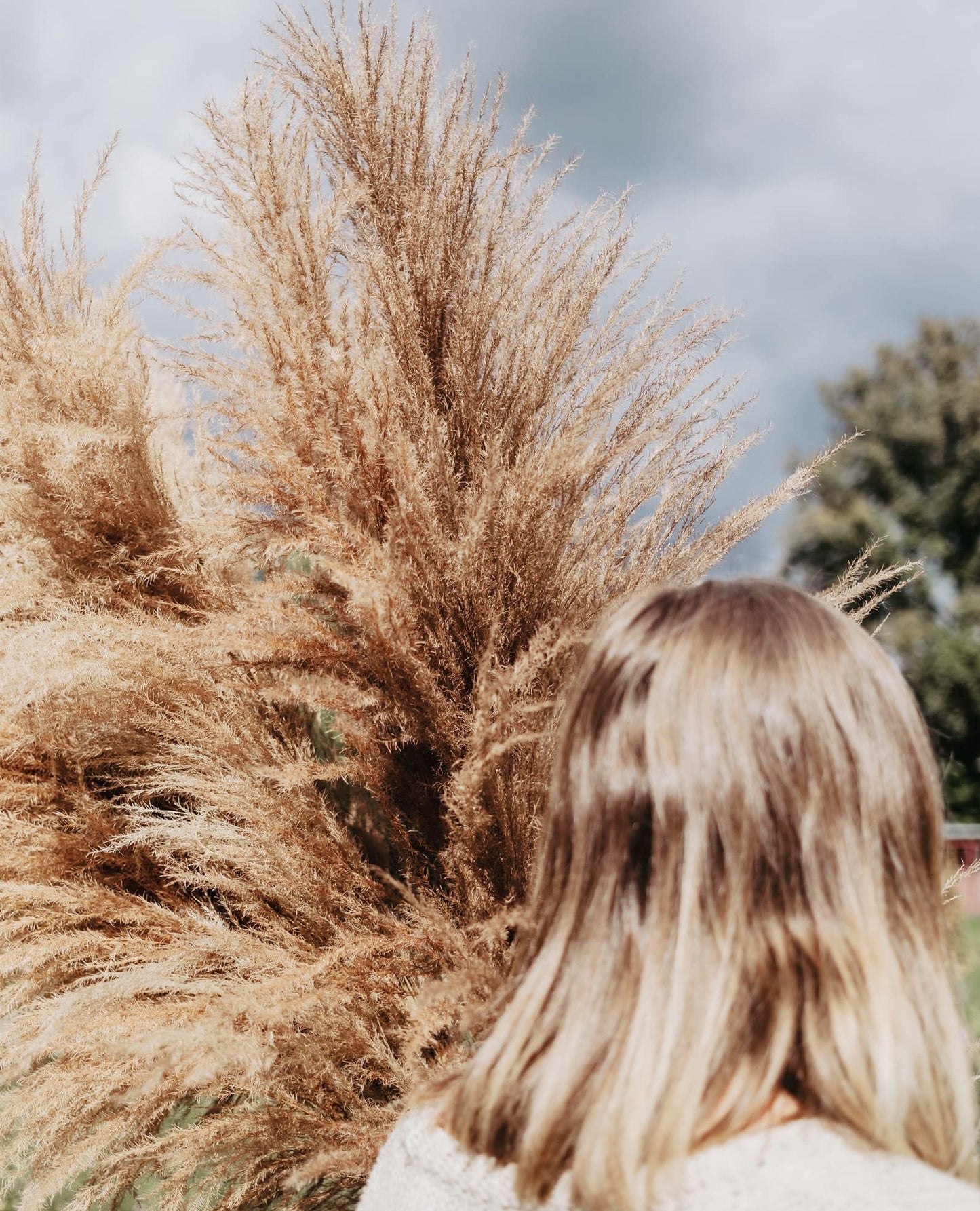 110 PCS Dried Pampas Grass Bouquet, Boho Table Decor, Bunny Tails Dried Flowers, Brown Pompas, White Pampas Grass for Wedding, Home, Rustic Party, Baby Shower Decorations