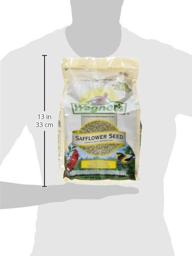 Wagner's 57075 Safflower Seed Wild Bird Food, 5-Pound Bag