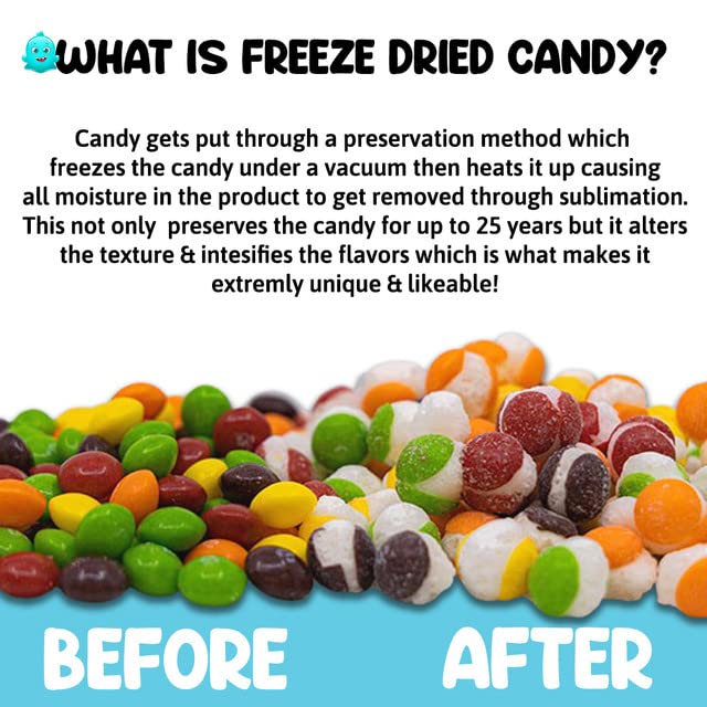 Trendy Treats Freeze Dried Candy - Fun, Exotic & Weird | Featured on Tik Tok Trendy Treats Channel | Delightful Crunchy Bites - Perfect Candy Gift for Kids - Resealable Packaging - 4.2oz