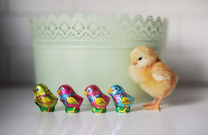 Madelaine Solid Premium Milk Chocolate Easter Baby Chicks Wrapped In Colorful Italian Foils (1/2 LB)