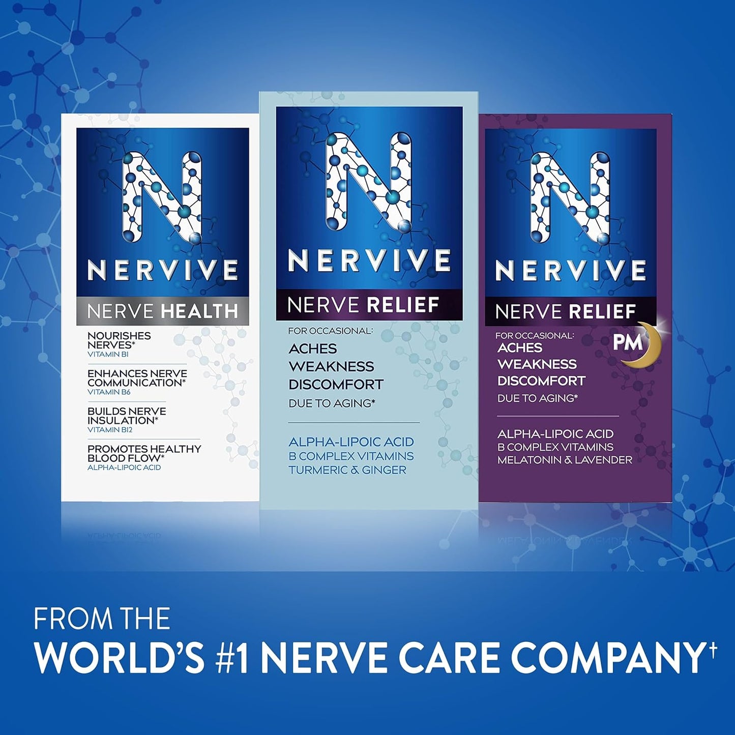 Nervive Nerve Health, with Alpha Lipoic Acid, to Fortify Nerve Health and Support Healthy Nerve Function in Fingers, Hands, Toes, & Feet*, ALA, Vitamins B12, B6, & B1, 30 Daily Tablets