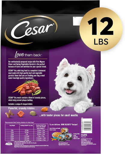 CESAR Small Breed Adult Dry Dog Food Filet Mignon Flavor with Spring Vegetables Garnish Dog Kibble, 12 lb. Bag