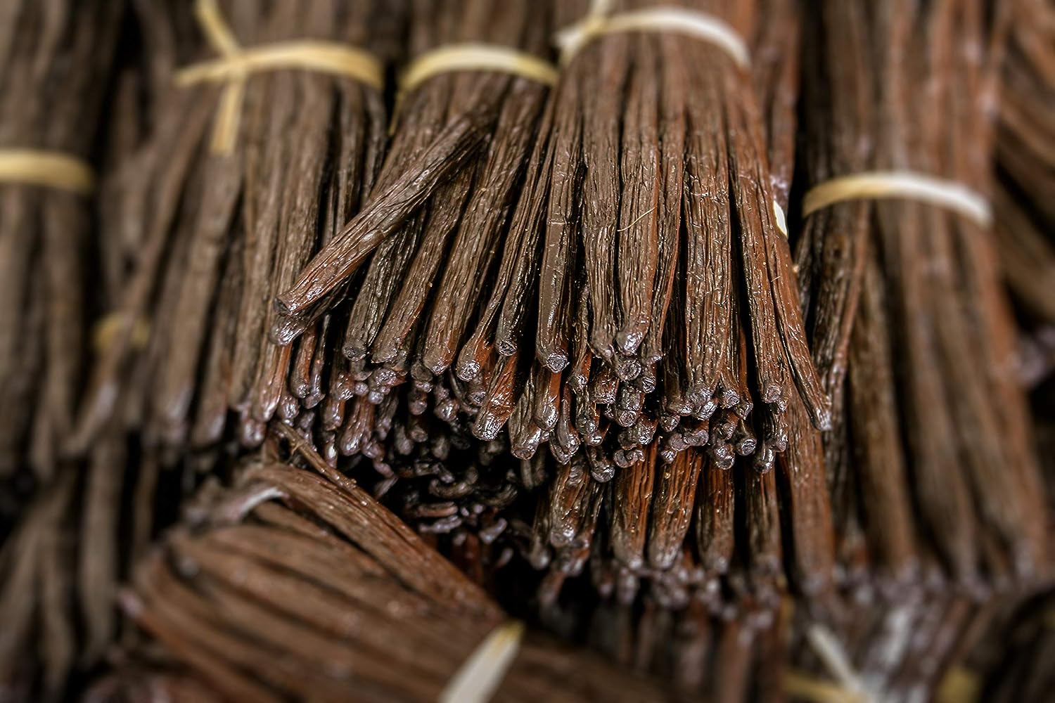 10 Organic Madagascar Vanilla Beans Whole Grade A Vanilla Pods for Vanilla Extract and Baking