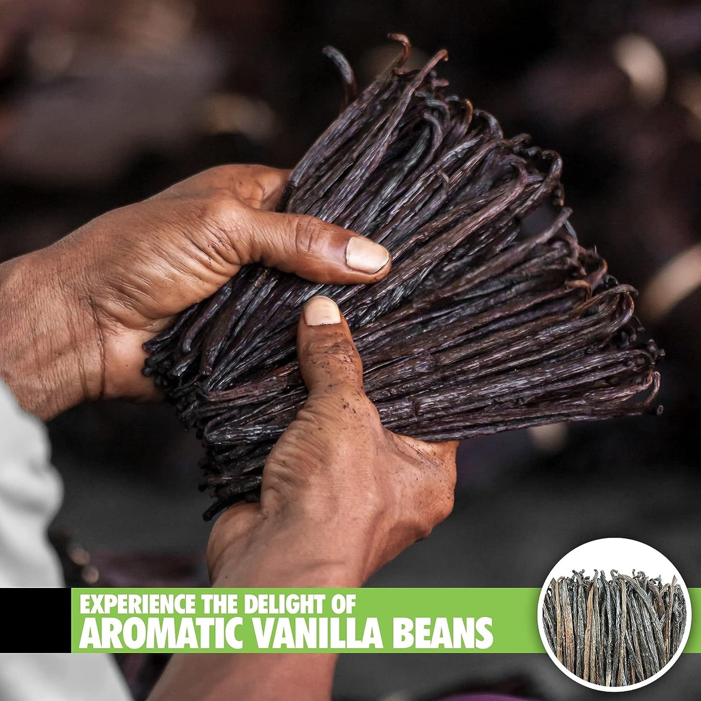 26 Organic Madagascar Vanilla Beans Extract Exclusive Grade B| 4.5" - 5.5" by FITNCLEAN VANILLA| Certified USDA Organic. Bulk Dry Whole Bourbon NON-GMO Pods